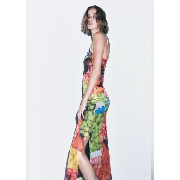 Zara fruit mesh midi dress BLOGGERS FAVORITE! NWT - Picture 3 of 9